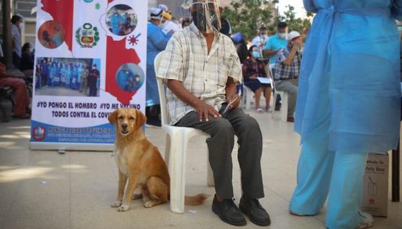 Don Juan Saavedra Reyes acudió a vacunarse contra el COVID-19 en compañía de su perrito | Foto: Municipalidad Provincial de Sullana