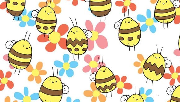 RETO VISUAL | Esta imagen te muestra muchas abejas. Identifica a la que es única. (Foto: dudolf.com)