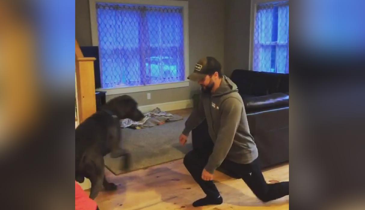 Un perro de raza Gran Danés protagonizó un divertido video viral de Facebook al querer ejercitarse junto a su dueño. (Crédito: 1momjourney2fit en Instagram)