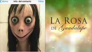 WhatsApp: 'Momo' no aparece en la "Rosa de Guadalupe"