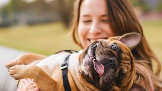 Animales de compañía ayudarían a enfrentar mejor la depresión y otros trastornos mentales 