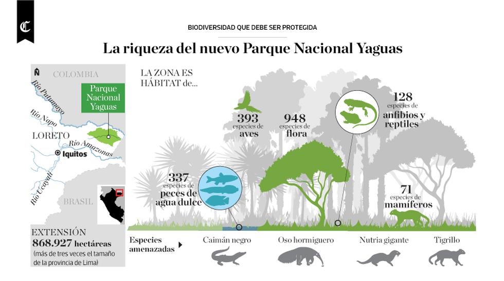 Biodiversidad En El Peru Infografia Latino News 2385