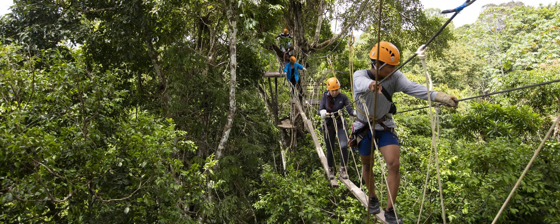 Loreto: cómo llegar a la reserva Pacaya Samiria y qué deportes extremos podemos practicar en ella