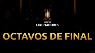 Copa Libertadores 2019: día, hora y canal del sorteo de los octavos de final del torneo