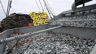 FAO: Perú podría ver menor productividad en pesca por cambio climático
