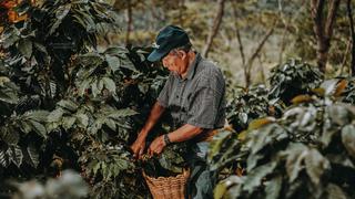 El Abuelo Valdizano, la marca de café lanzada por 20 adultos mayores en Huánuco