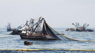 SNP: Segunda temporada de pesca de anchoveta en 2022 generó más de US$ 1.000 millones