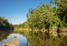 Parque Nacional del Manu: disfruta de la maravillosa amazonía peruana 