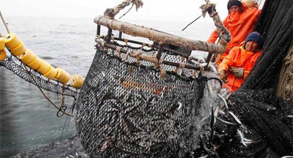 Produce restringió pesca de anchoveta por cinco días. (Foto: www.diariolaprimeraperu.com)