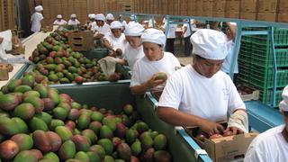 Cámara de Comercio de Lima: “Pedimos al Gobierno un plan para proteger los empleos”