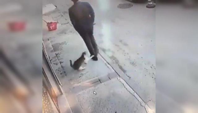 Así es como reaccionó este gatito luego de que una persona camine frente a él mientras este estaba enojado. (Foto: Facebook)