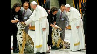 El papa acaricia a un tigre y se lleva gran susto [VIDEO]