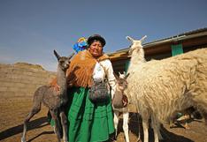 Midagri despliega acciones para apoyar al agro y mitigar impactos de sequías en el sur del Perú