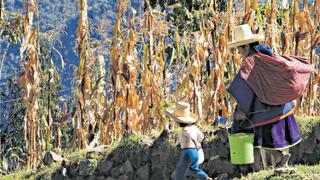 La paradoja cajamarquina: entre el potencial económico y la pobreza más grave
