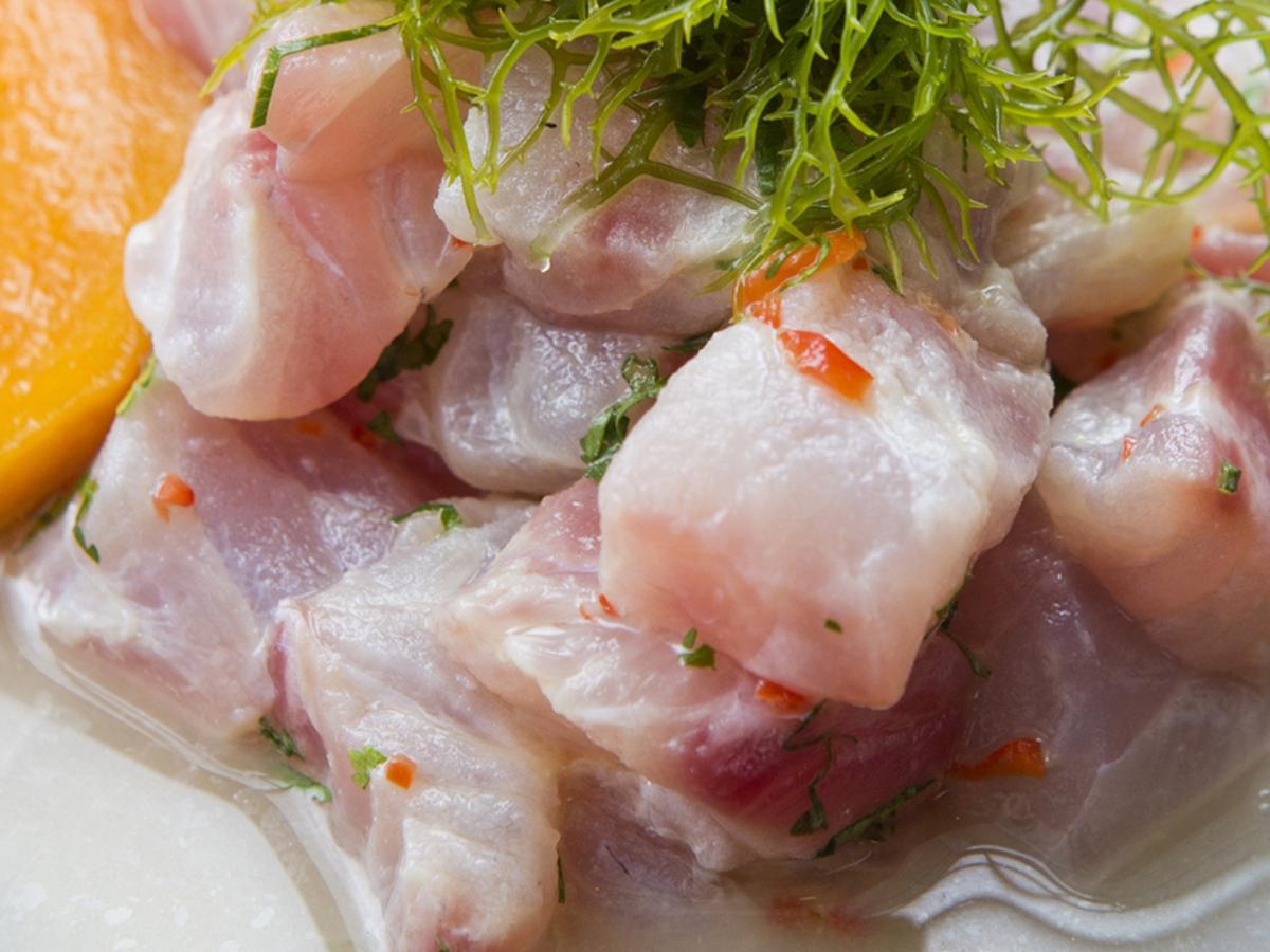 Receta de cebiche de pescado | Ingredientes | Preparación | Ceviche |  PROVECHO | EL COMERCIO PERÚ