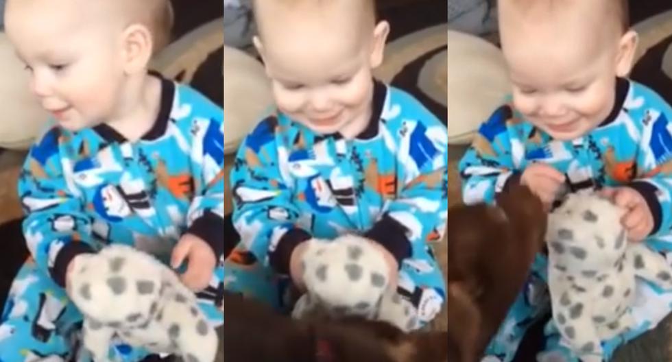 Este bebé no puede contener las carcajadas al ver a su perro. (Foto: Captura de YouTube)