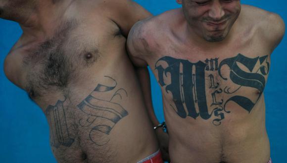 La Policía de El Salvador arrestó durante el fin de semana a 318 miembros y colaboradores de pandillas. (AFP)