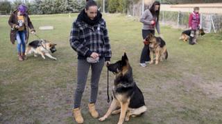 Perros protectores: Conoce el proyecto que entrena a canes para combatir la violencia machista