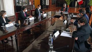 Francisco Sagasti se reunió Misión de Observación Electoral de la OEA | FOTOS