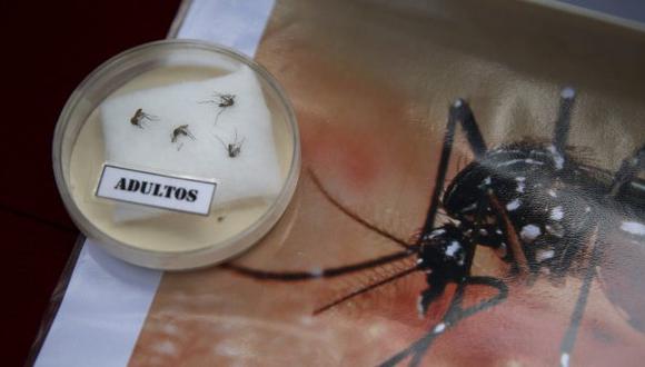 Zika: preguntas y respuestas sobre el virus en América Latina