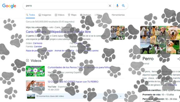 ¿Qué pasa si escribes las palabras "perro" o "gato" en Google? Haz la prueba y quedarás sorprendido | Foto: Google