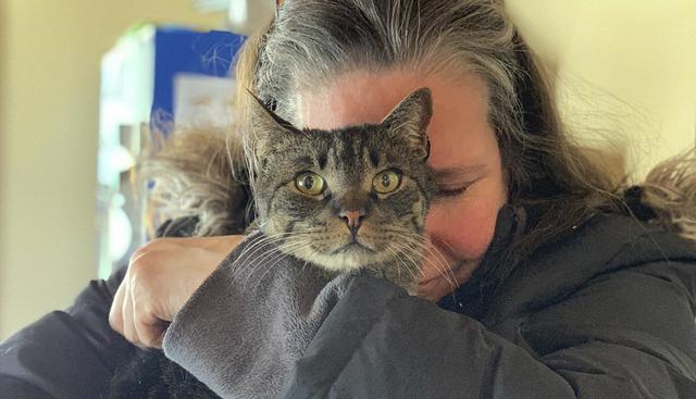 Un gato que sus dueños dieron por desaparecido hace más de cinco años regresó a su hogar en la localidad de Salisbury, Massachusetts (EE.UU.). (Facebook / MRFRSorg)