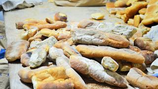 Tacna: dos panaderías fueron intervenidas por no cumplir con normas de higiene establecidas