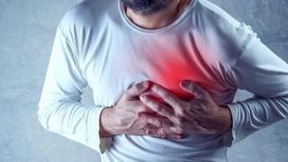 Ataques al corazón | ¿Por qué los humanos somos casi la única especie que sufre esta condición?