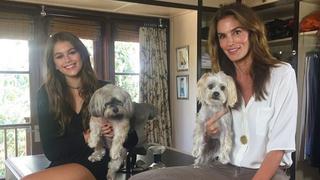 Cindy Crawford envió un curioso mensaje a su joven hija modelo