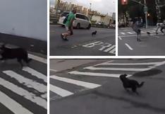 YouTube: perro protagoniza una asombrosa persecución por las calles de Nueva York | VIDEO
