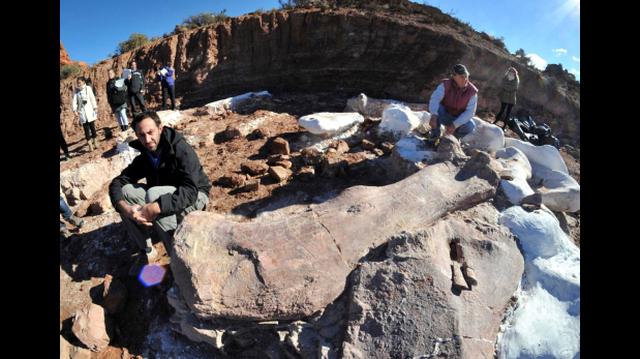 Argentina: El dinosaurio más grande jamás descubierto - 1