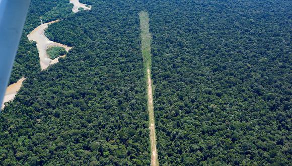 Pista de aterrizaje clandestina en el sector norte de la Reserva Indígena Kakataibo. Foto: Aidesep.