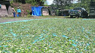 Realizarán acciones contra minería ilegal en selva de Puno