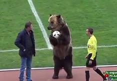 Oso da el "play de honor" en partido de fútbol ruso