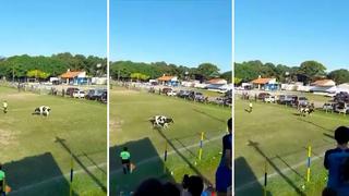 Vaca invade campo de juego e interrumpe partido de fútbol paraguayo