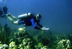 Científicos de Cuba y EE.UU. estudiarán arrecifes caribeños