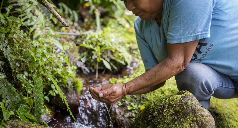 Project helps preserve water in an area of ​​Oxapampa