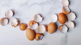 Cómo reutilizar las cáscaras de huevos: 4 sorprendentes usos