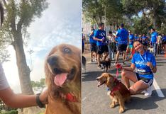 Correr con tu perro: 7 consejos para iniciarte en el ‘running’ con tu mascota