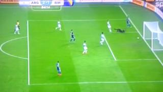 Argentina vs. Bosnia: el gol de Ibisevic que llevó angustia