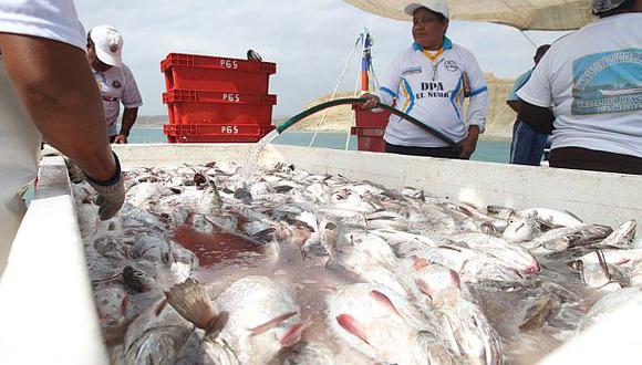 ¿A cuánto asciende el consumo per cápita de pescado en el Perú?