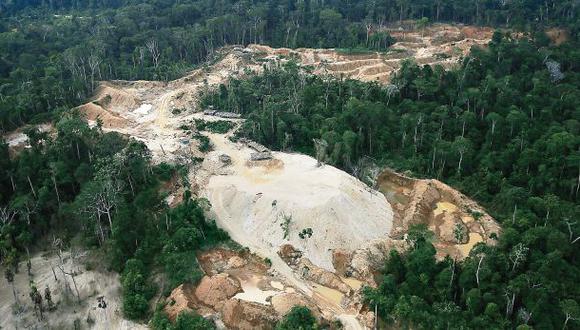 Minería ilegal destruyó al menos 11 hectáreas de Amarakaeri
