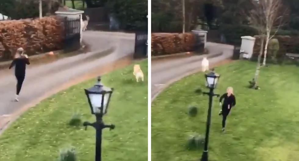 Una joven huyó despavorida de la cabra que intentó ahuyentar de la entrada de su vivienda. (Foto: Storyful Rights Management en YouTube)
