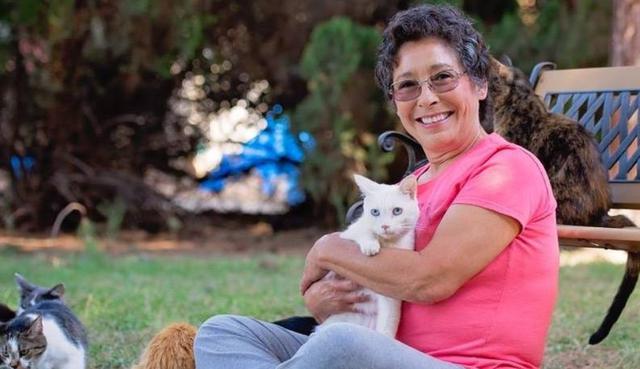 Lynea Lattanzio (69) estima que ha adoptado y reubicado en nuevos hogares a más de 28,000 gatos a lo largo de su vida. (Fotos: The Cat House On The Kings.com en Facebook)