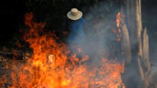 Incendio en el Amazonas: Las claves de un paraíso medioambiental en llamas | FOTOS