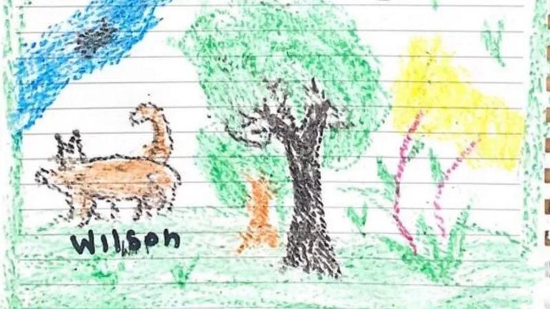 One of the children's drawings shows a dog.  (Army of colombia).