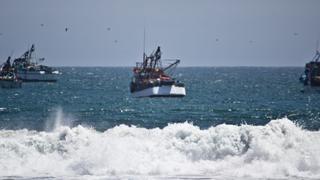 Tramarsa y Yilport disputarán concesión de puerto de Salaverry