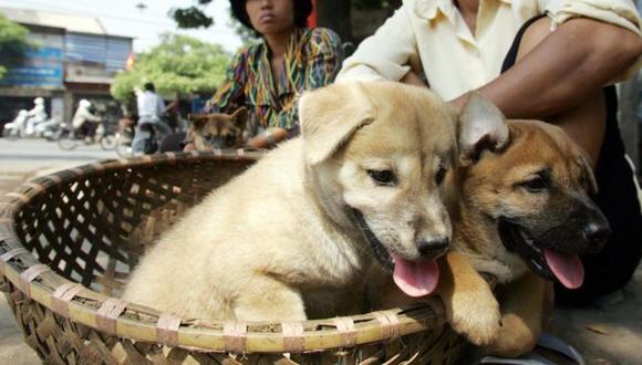 Más de 1.000 tiendas en Hanoi todavía venden carne de perro y gato.