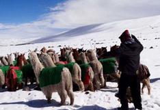 Arequipa: poblado de Patahuasi soportó -19 grados de temperatura