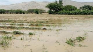 Minagri invertirá S/6,500 millones reconstrucción de zonas afectadas por El Niño costero